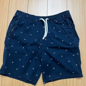 Hollister Men’s shorts
